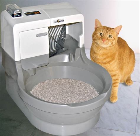 cat liter box electric cleaner|best cleaner for litter box.